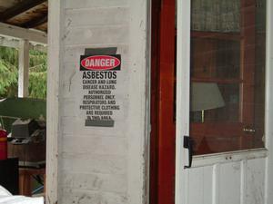 Asbestos and Lead-Based Paint